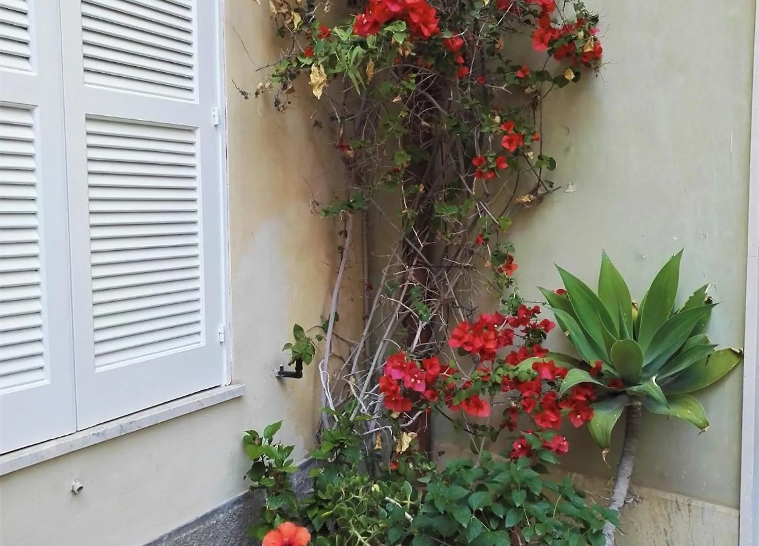 Aloha House Ortigia Villa Syracuse Italy