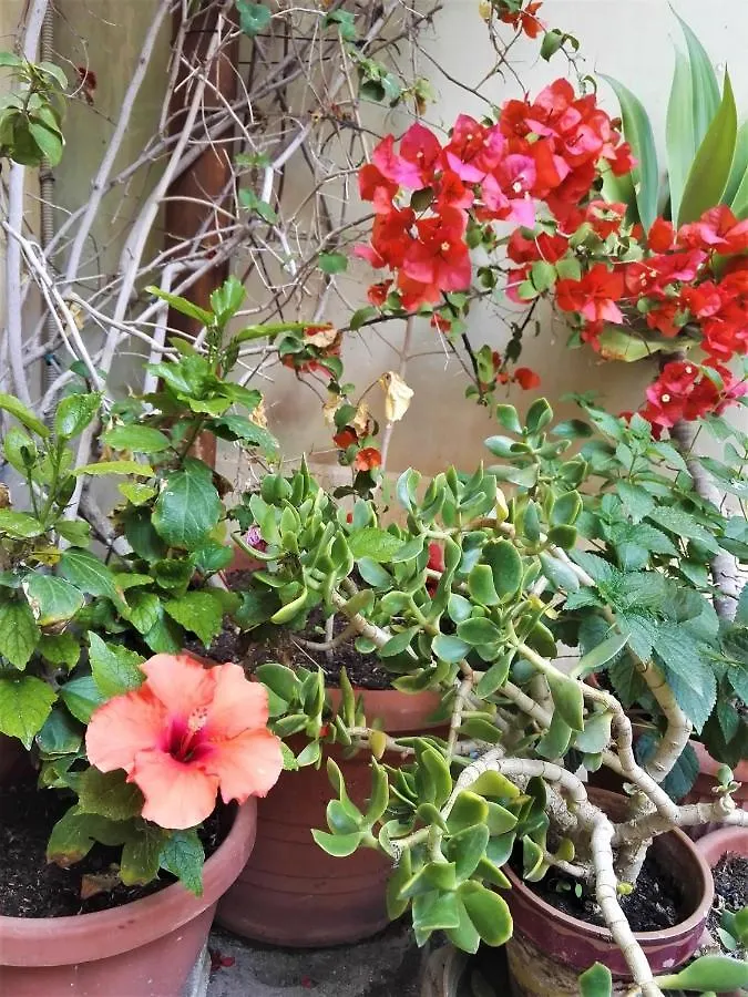 Aloha House Ortigia Villa Syracuse 0*,  Italy
